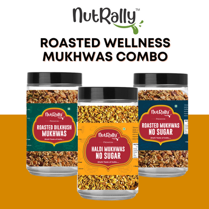 Roasted Wellness Mukhwas Combo - Pack of 3 (1 Rosted No Sugar Mukhwas, 1 Rosted Haldi No Sugar Mukhwas, 1 Rosted Dilkhush Mukhwas)