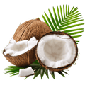 Coconut