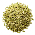 Fennel Seeds